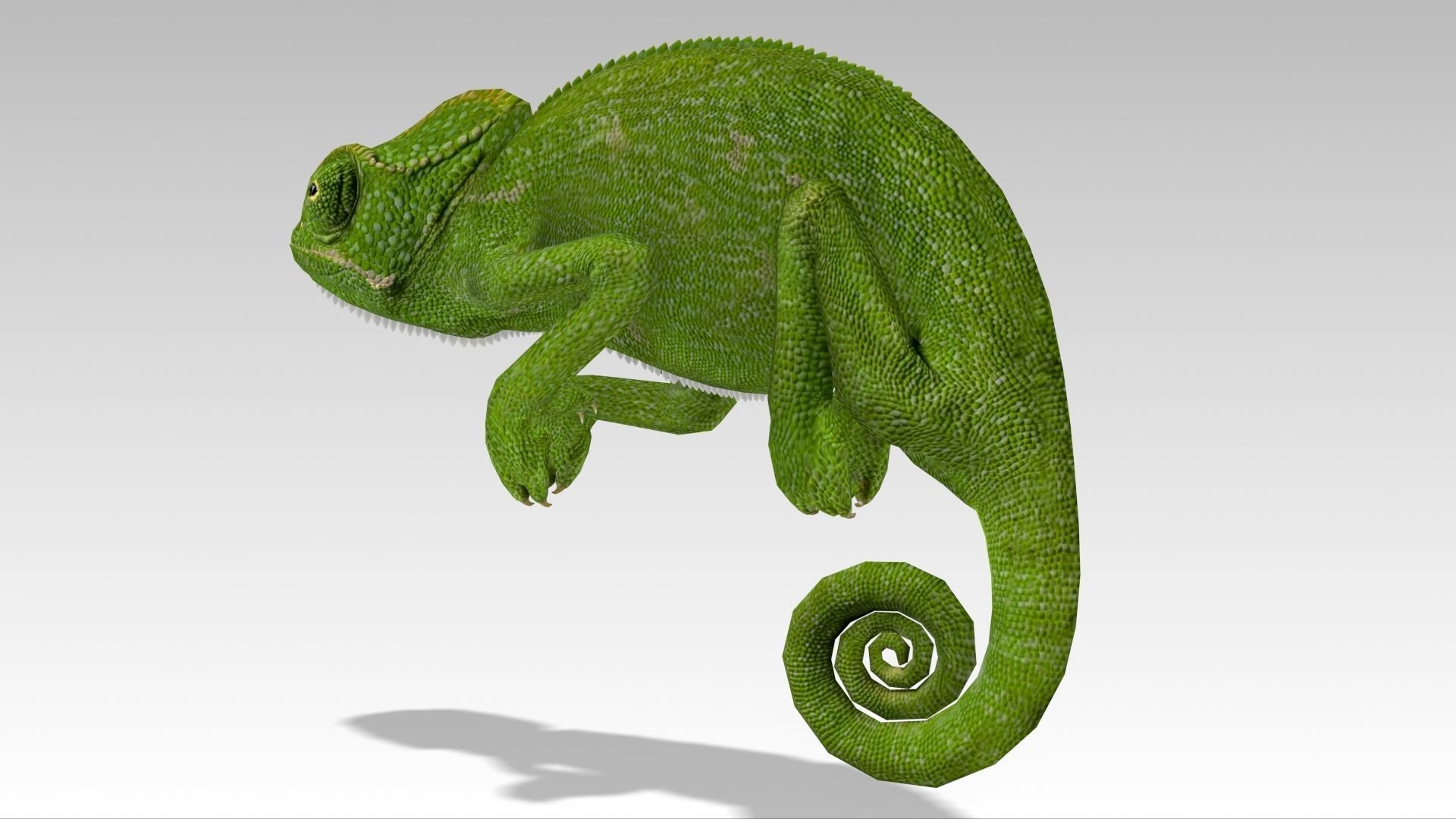 Chameleon Low-poly 3D model_9