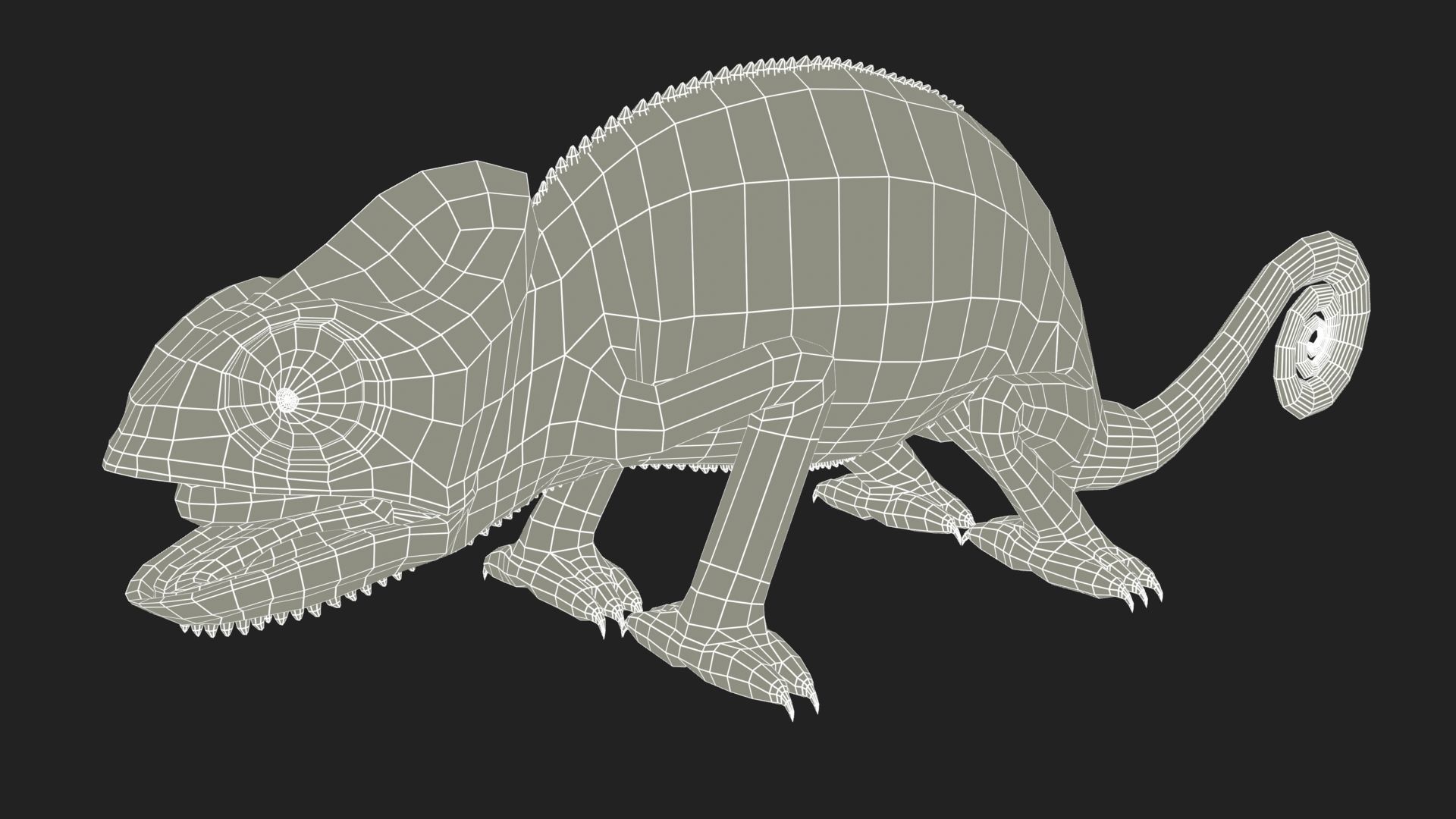Chameleon Low-poly 3D model_12