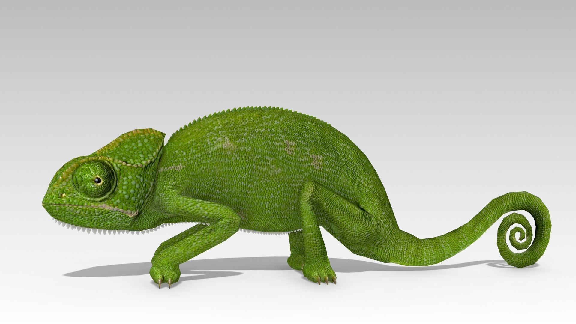 Chameleon Low-poly 3D model_4