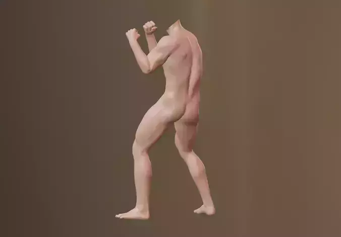 Fighting Stance 3D model
