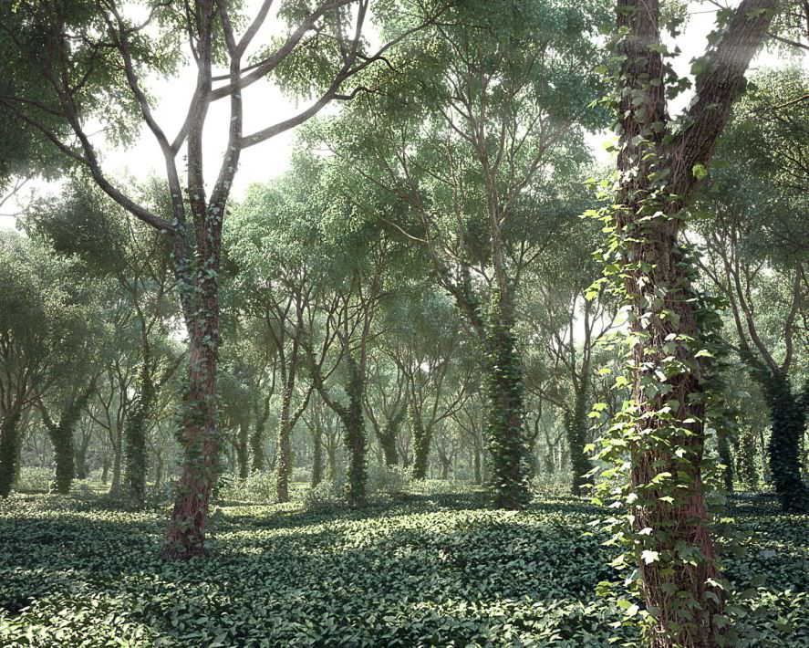 Archmodels vol 117 - Realistic Tree Collection 3D model_1