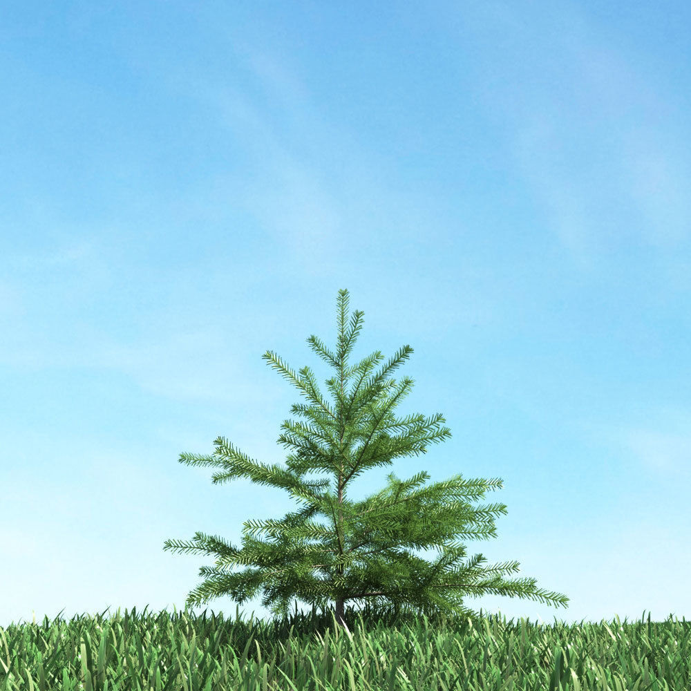 Archmodels vol 117 - Realistic Tree Collection 3D model_53
