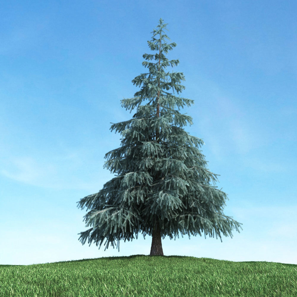 Archmodels vol 117 - Realistic Tree Collection 3D model_12