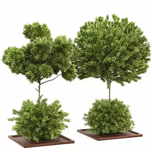 Garden set bush and Tree Set04 3D model