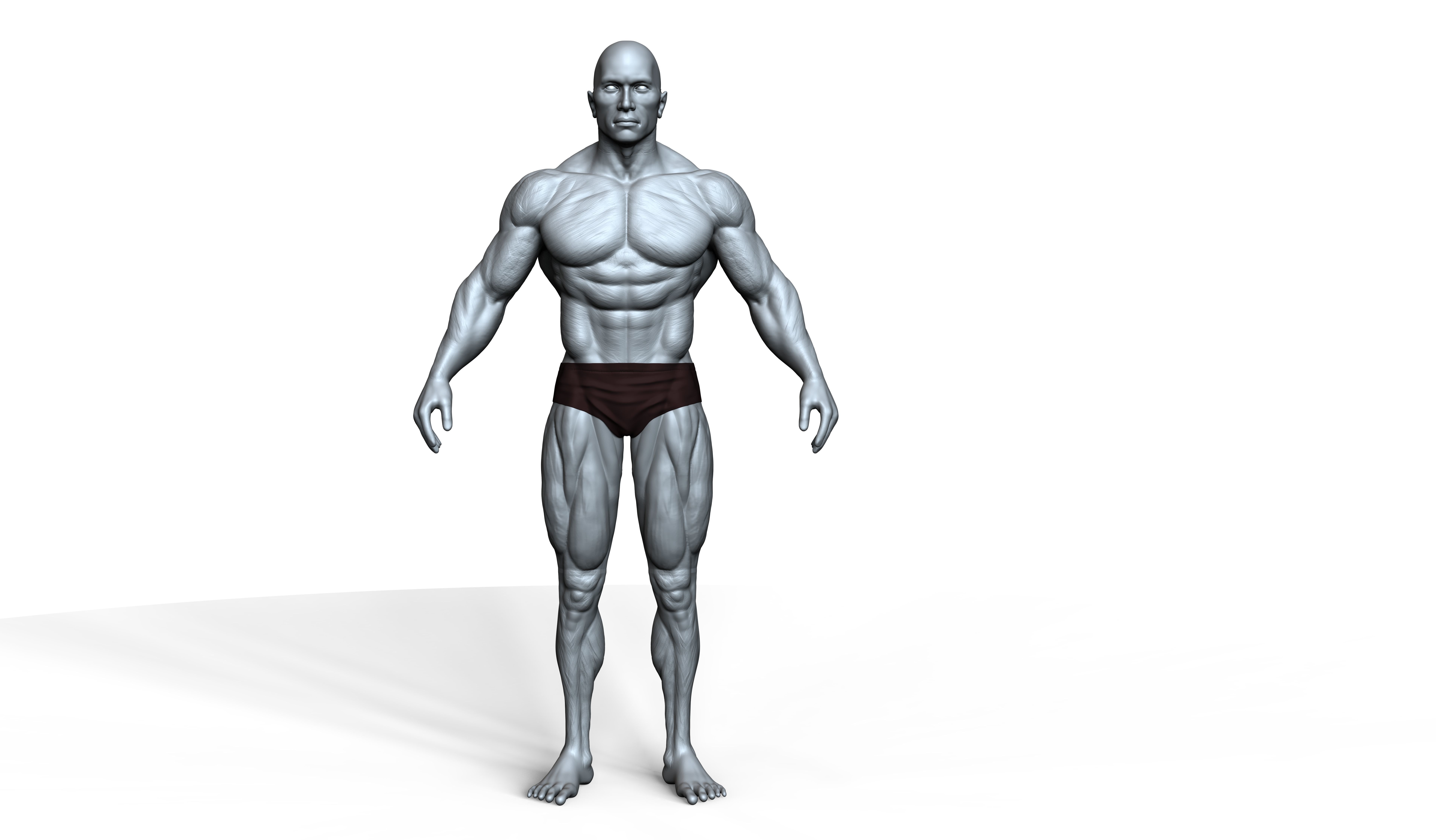 Arnold Schwarzenegger 3D model 3D print model_3