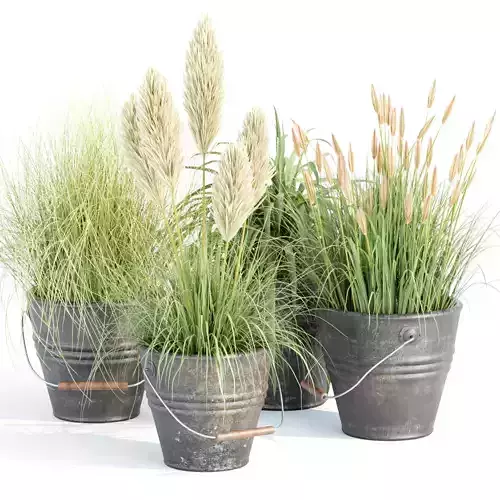 Plants in rusty metal pots collection vol 167 3D model