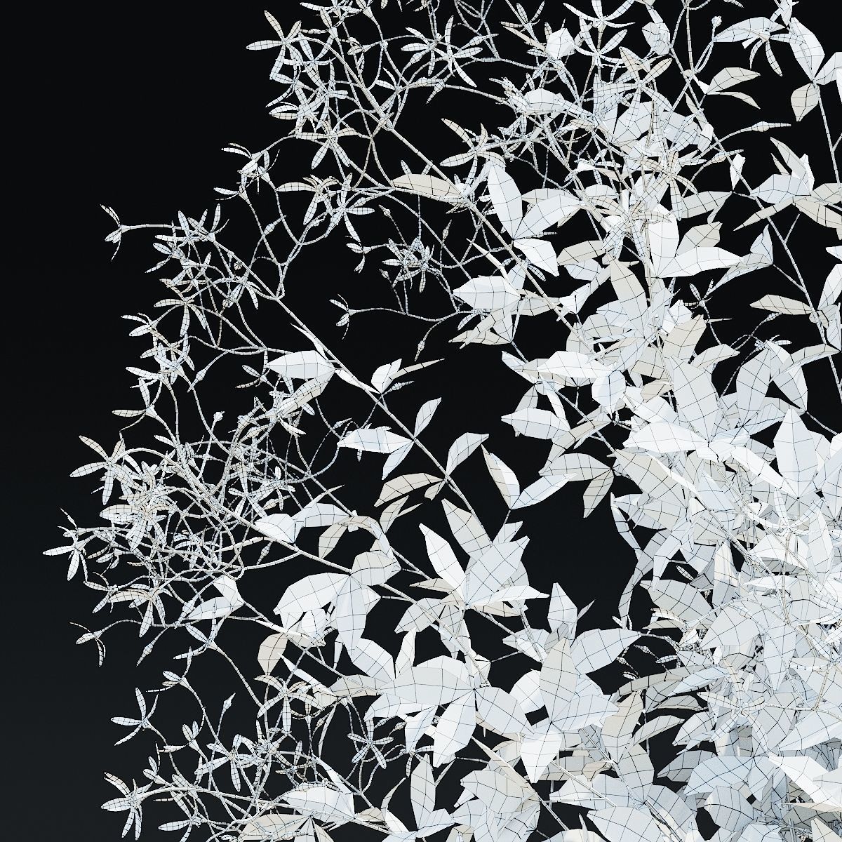 Gillenia trifoliata flower 3D model_10