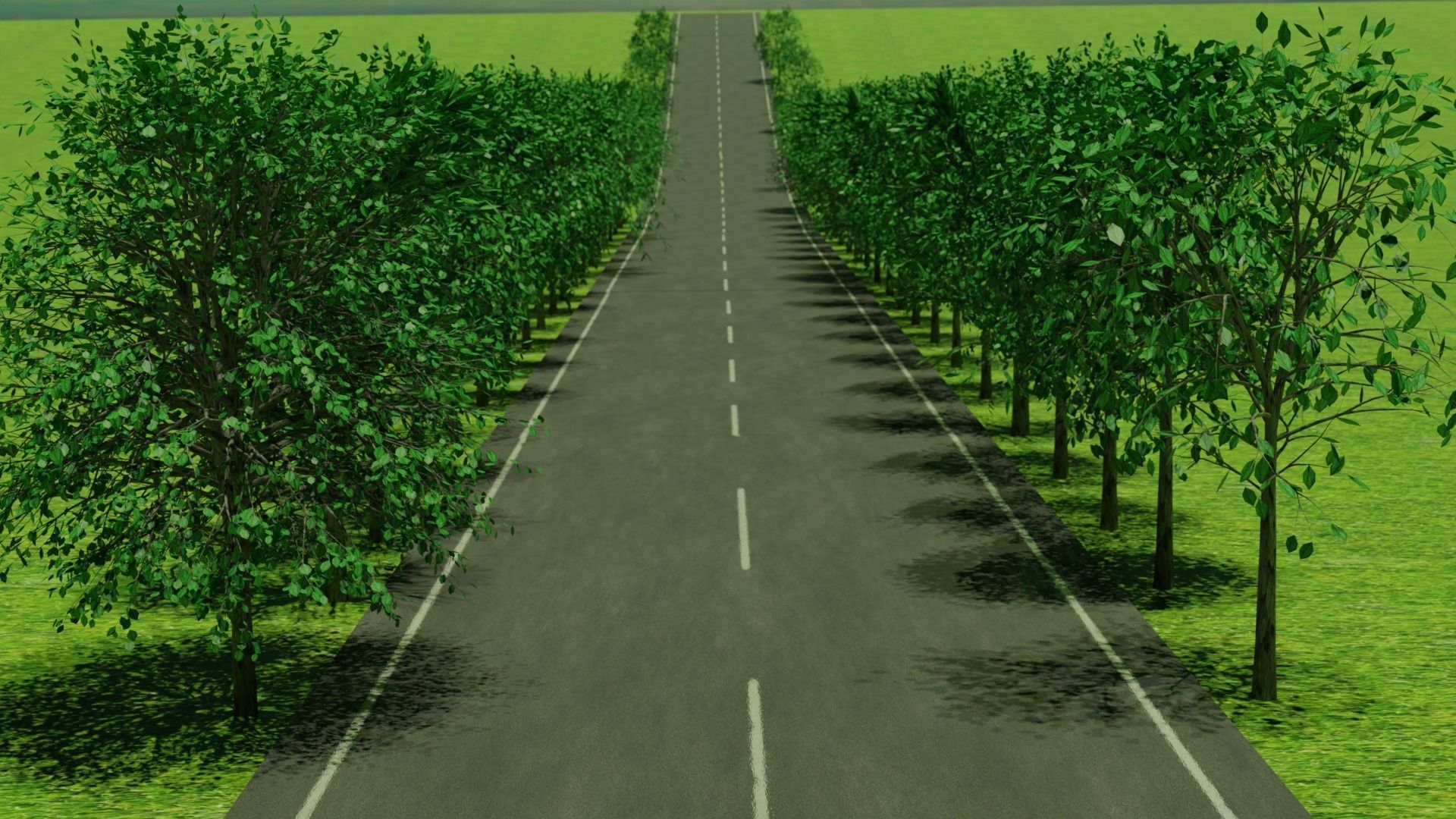 viale alberato   tree-lined avenue 3D model_1