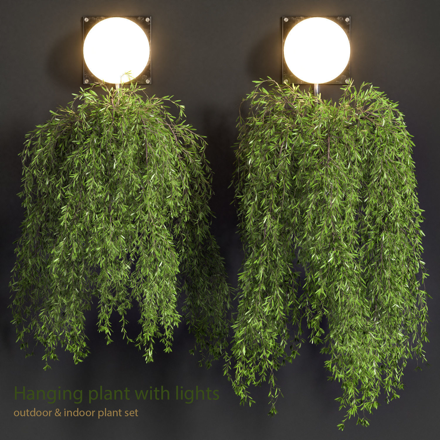 Hanging plant with lights 3D model CGTrader