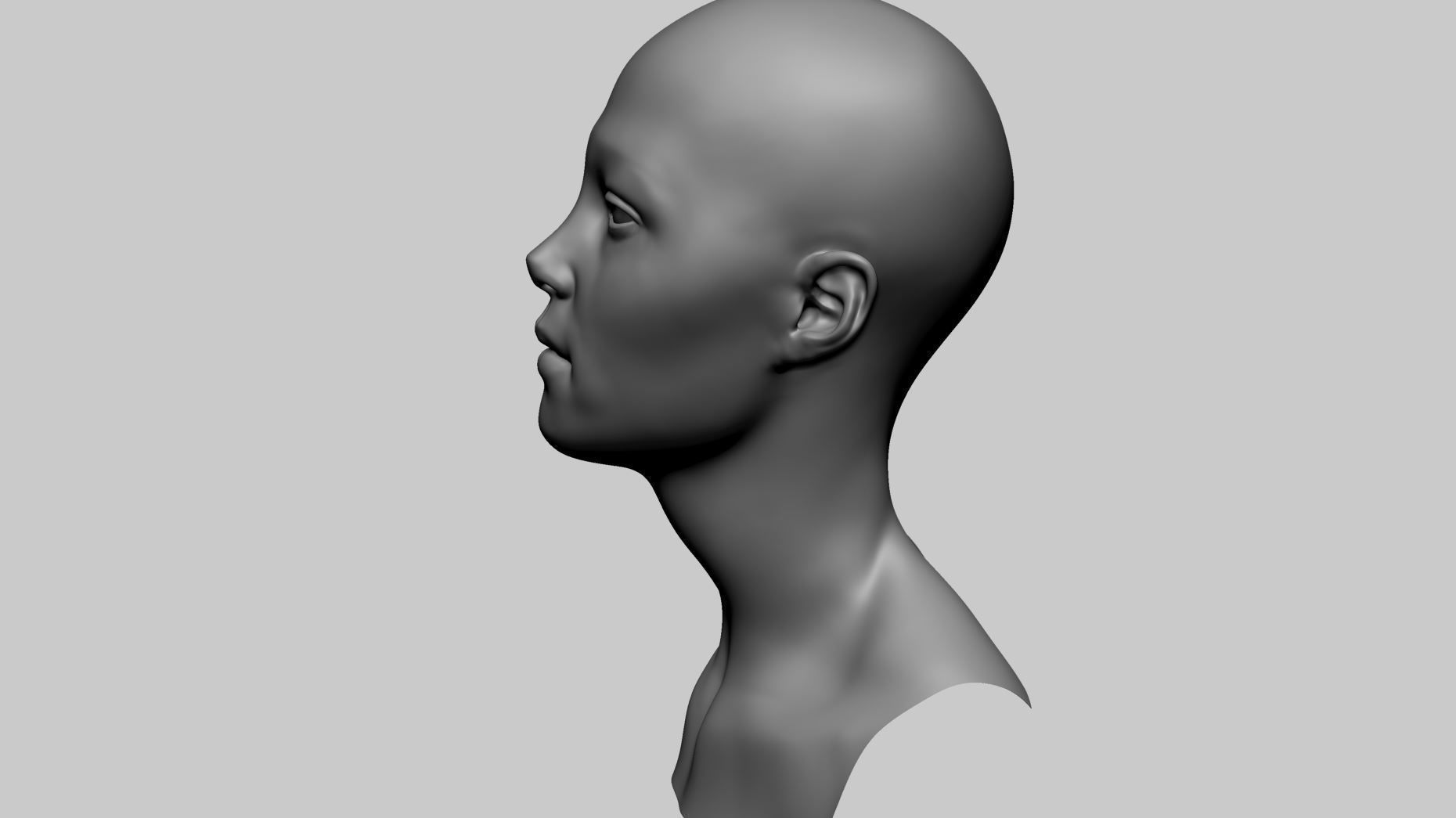 Female Head Basemesh C 3D model_8
