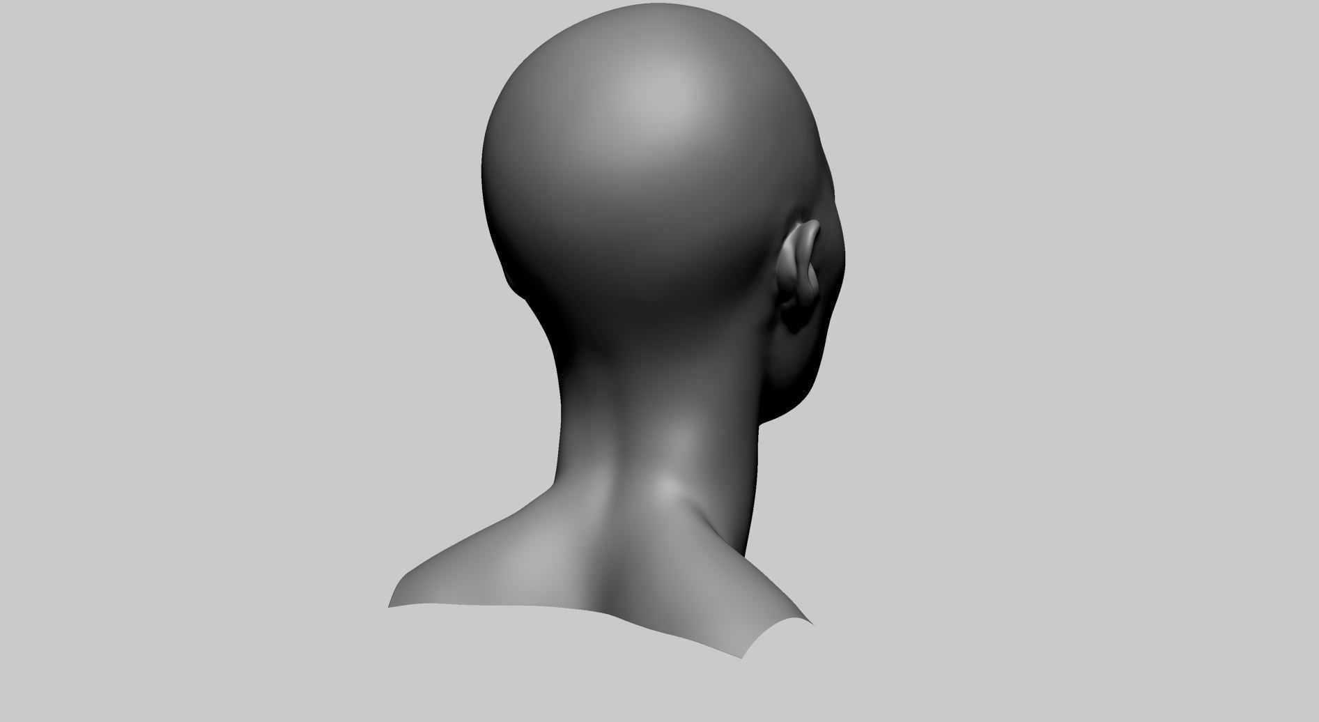 Female Head Basemesh C 3D model_6