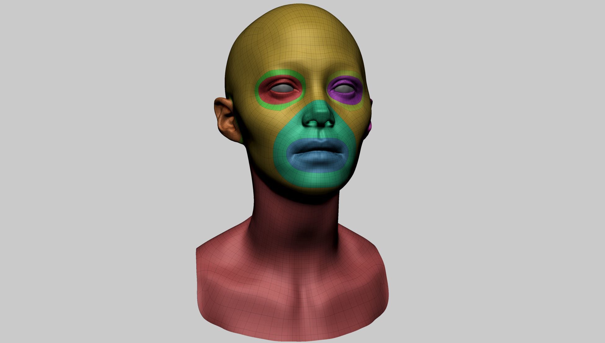 Female Head Basemesh C 3D model_3