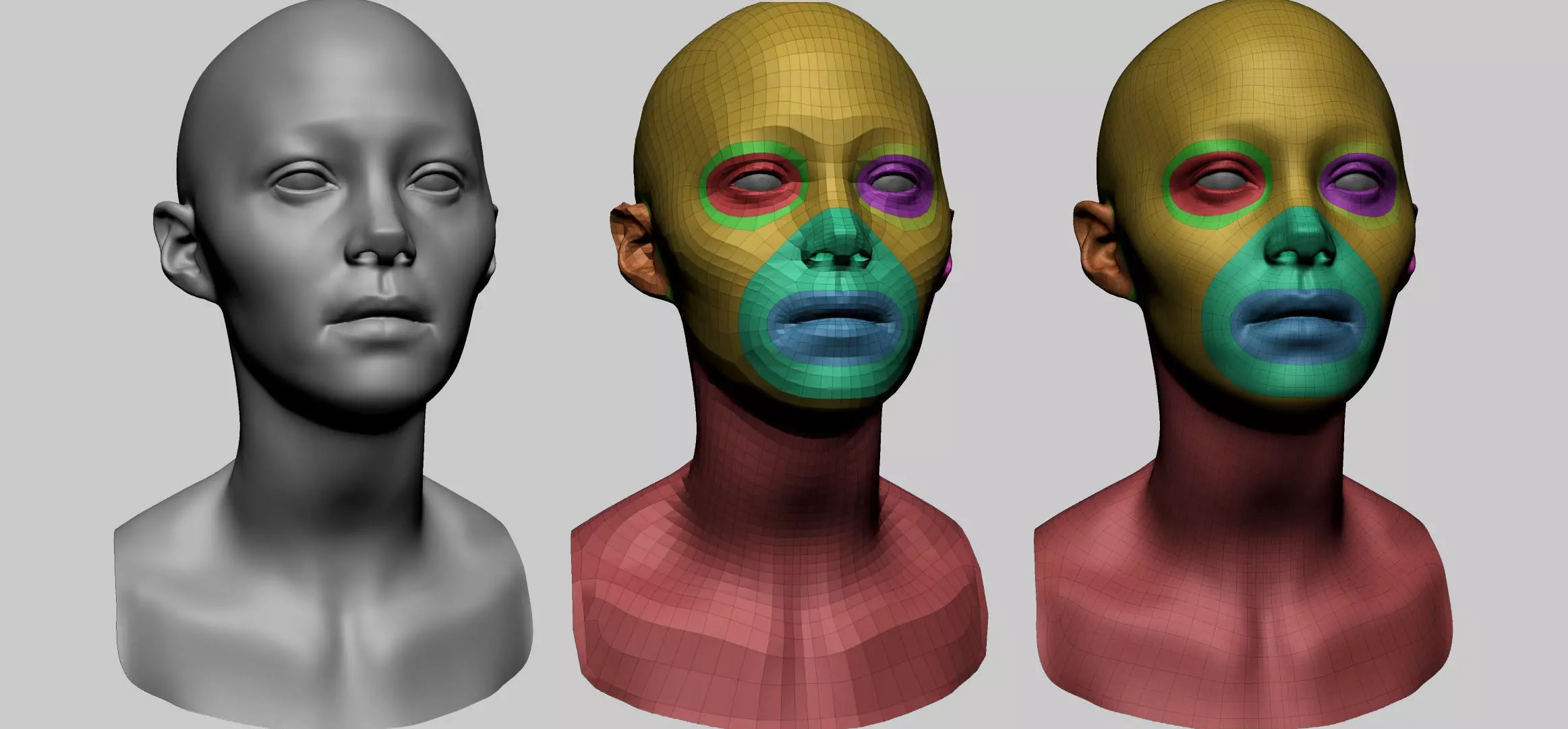 Female Head Basemesh C 3D model_0