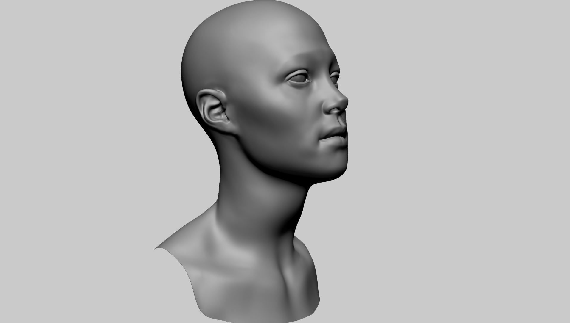 Female Head Basemesh C 3D model_4