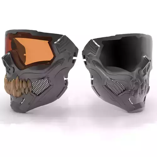 Prot Mask Combo v-01 02