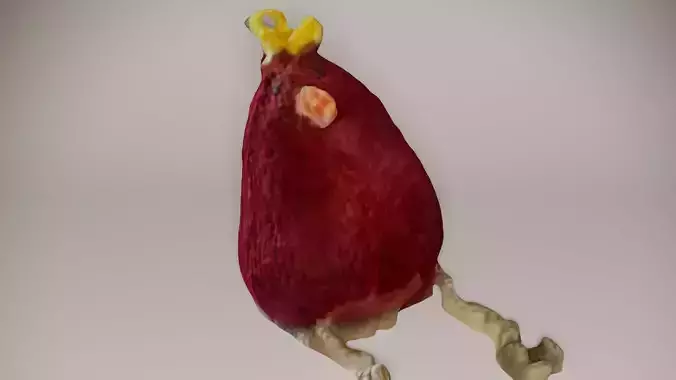 Cute Knitted Bird Photoscan