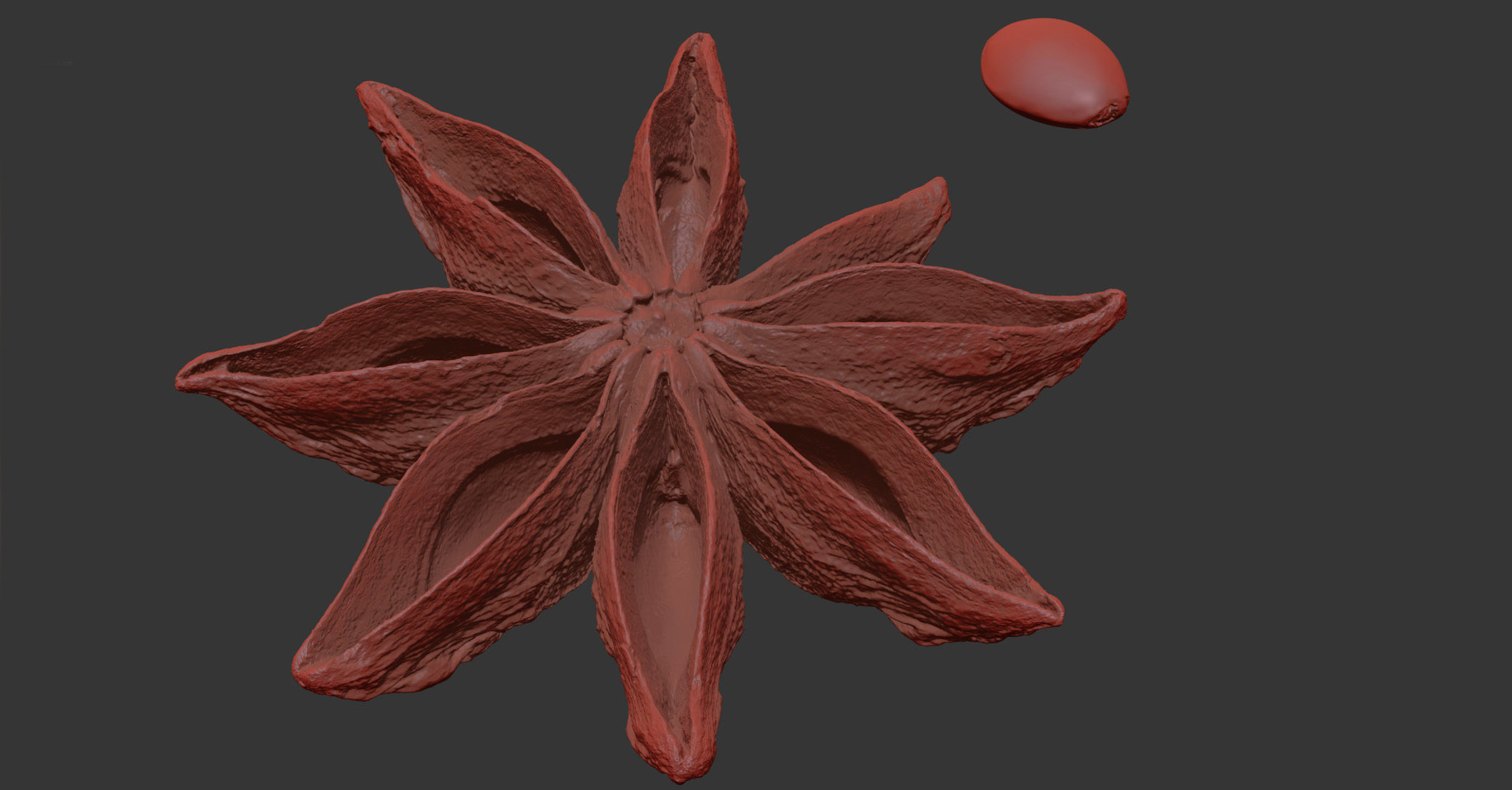 Staranise 3D model_7