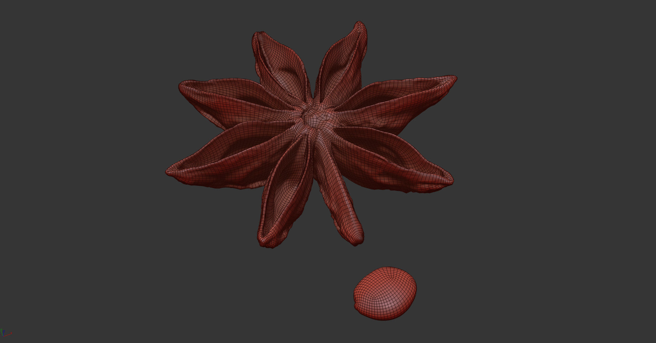 Staranise 3D model_6