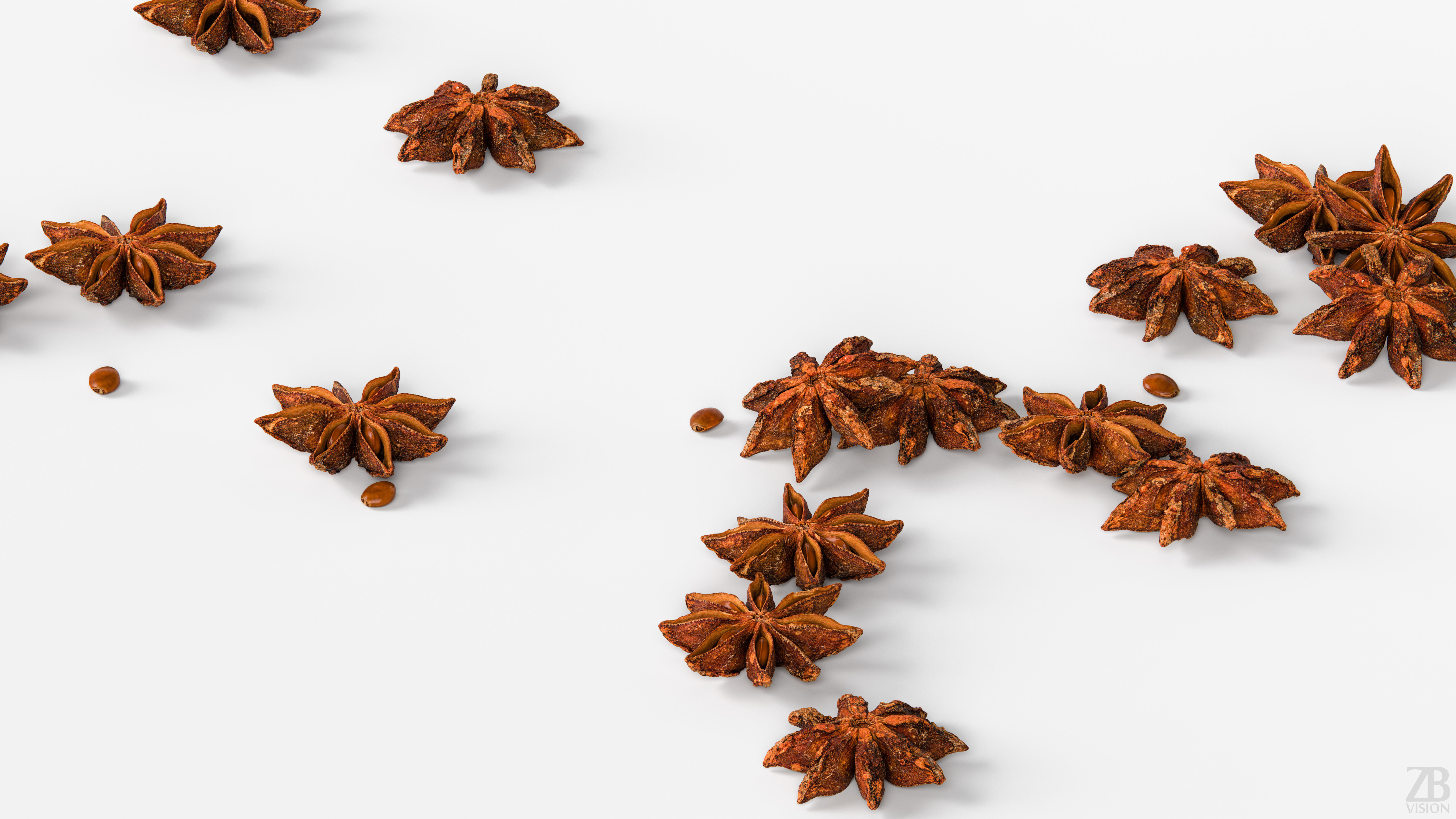 Staranise 3D model_2