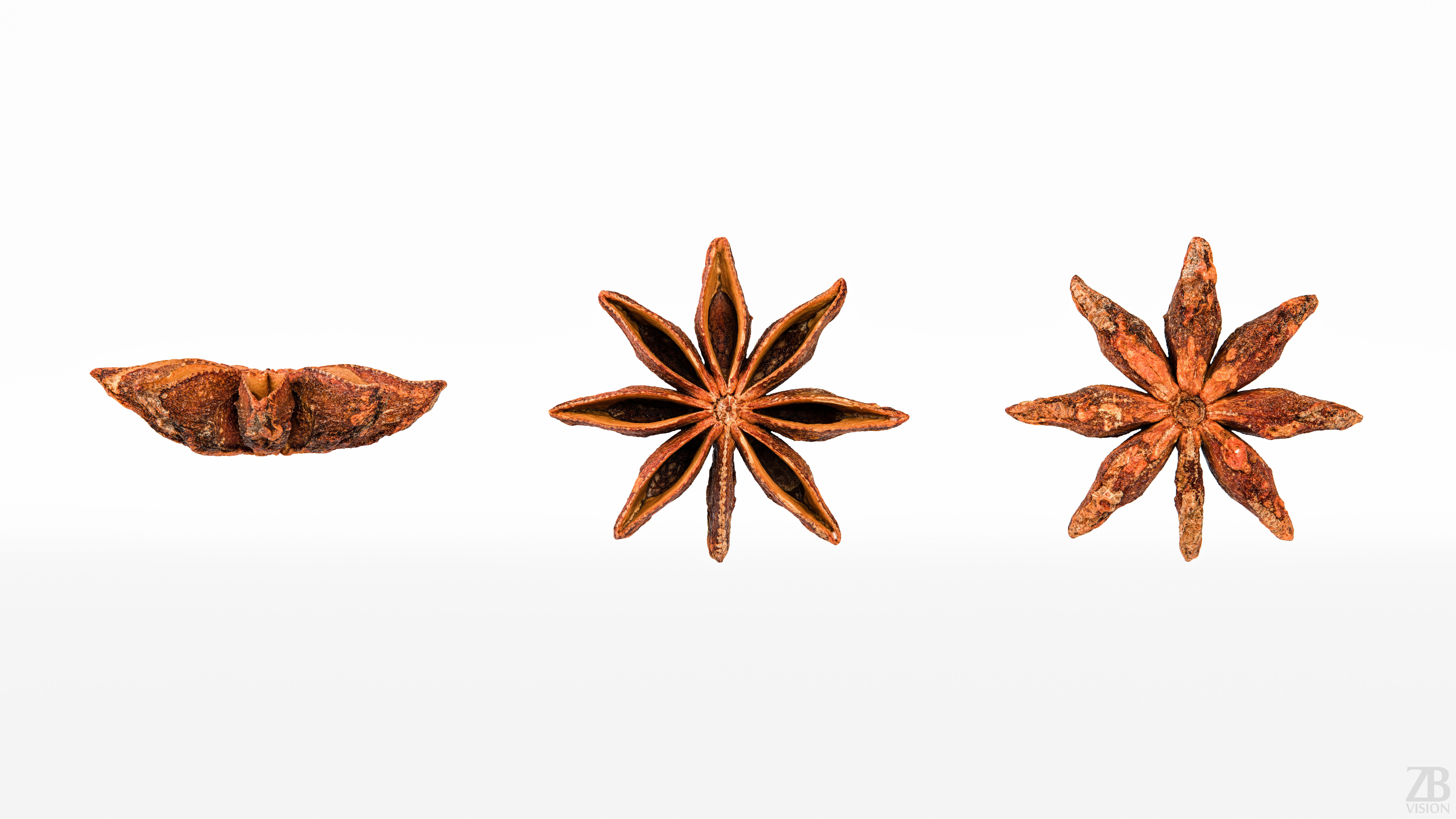 Staranise 3D model_4