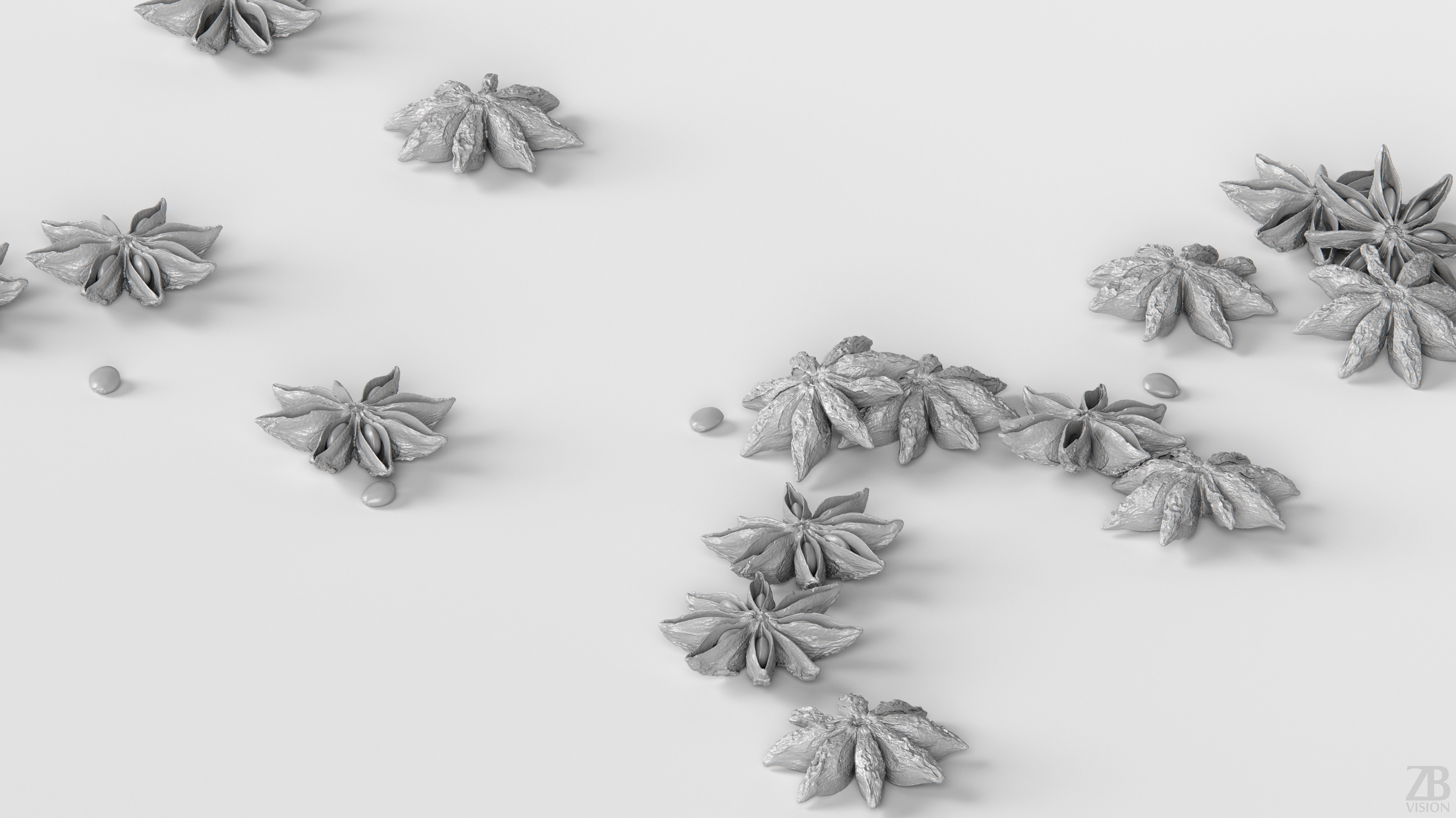 Staranise 3D model_3