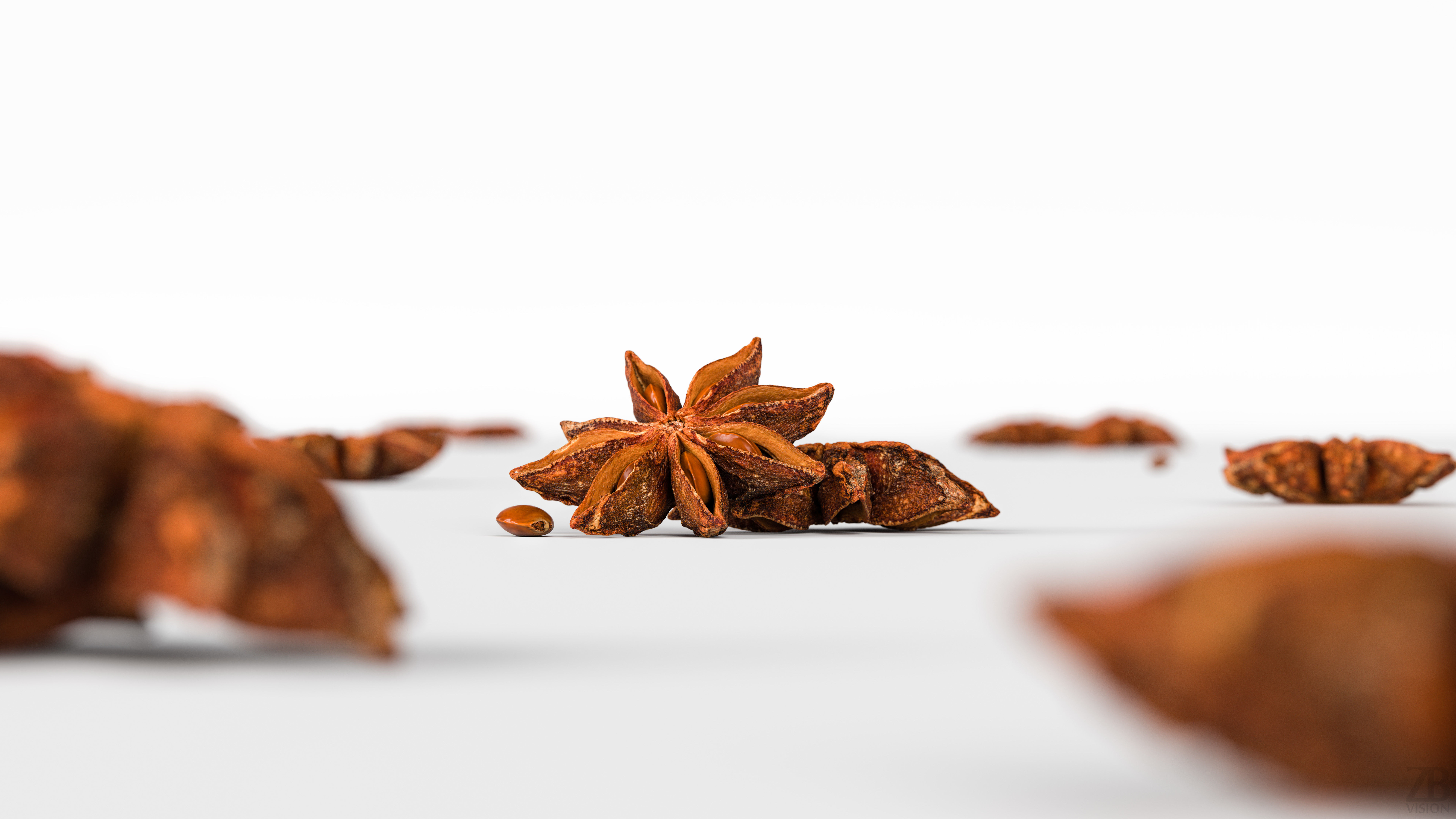 Staranise 3D model_1