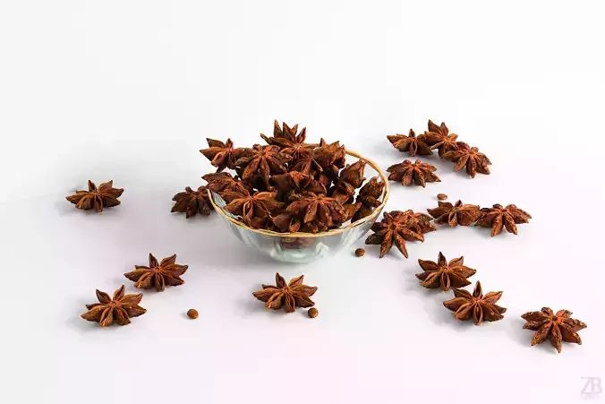 Staranise 3D model