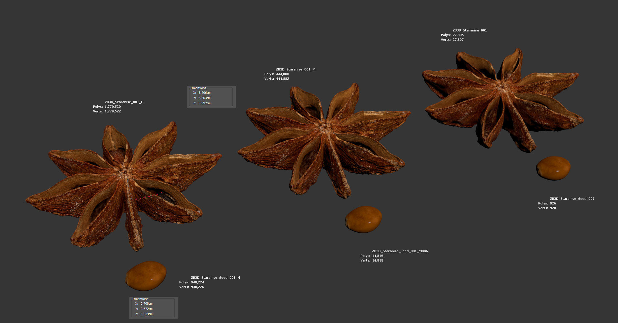 Staranise 3D model_5