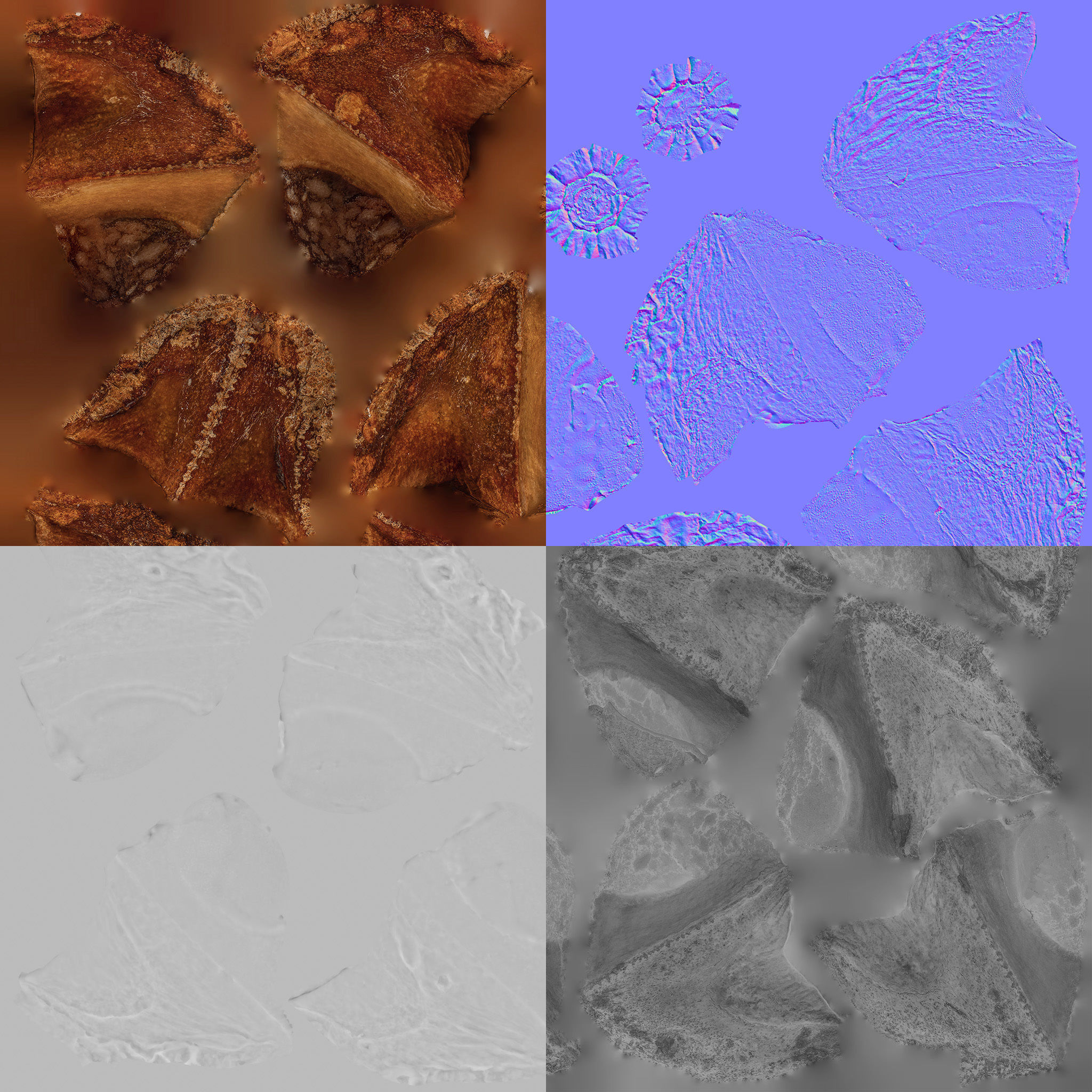 Staranise 3D model_8