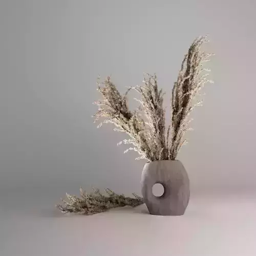 Pampas Grass in Concrete Vase