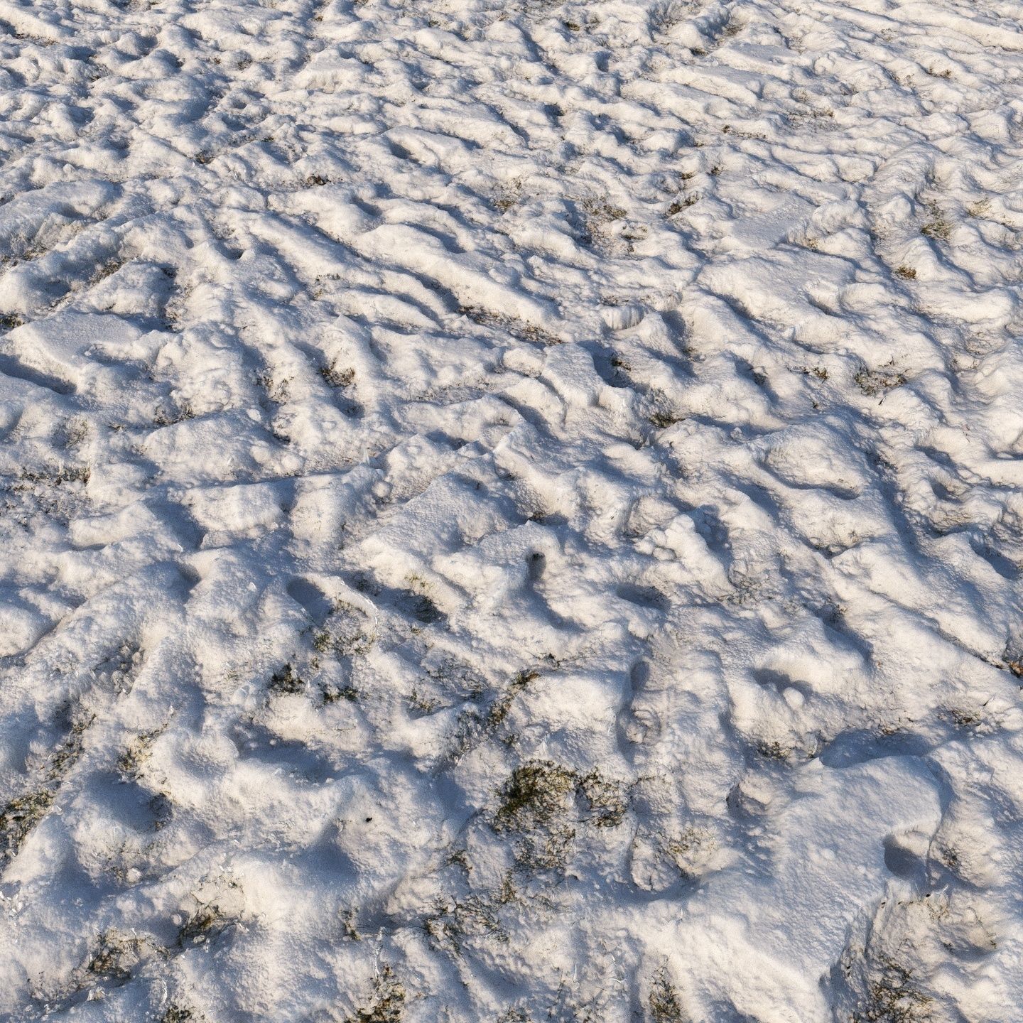 8k seamless snow square material 02 Low-poly 3D model_5