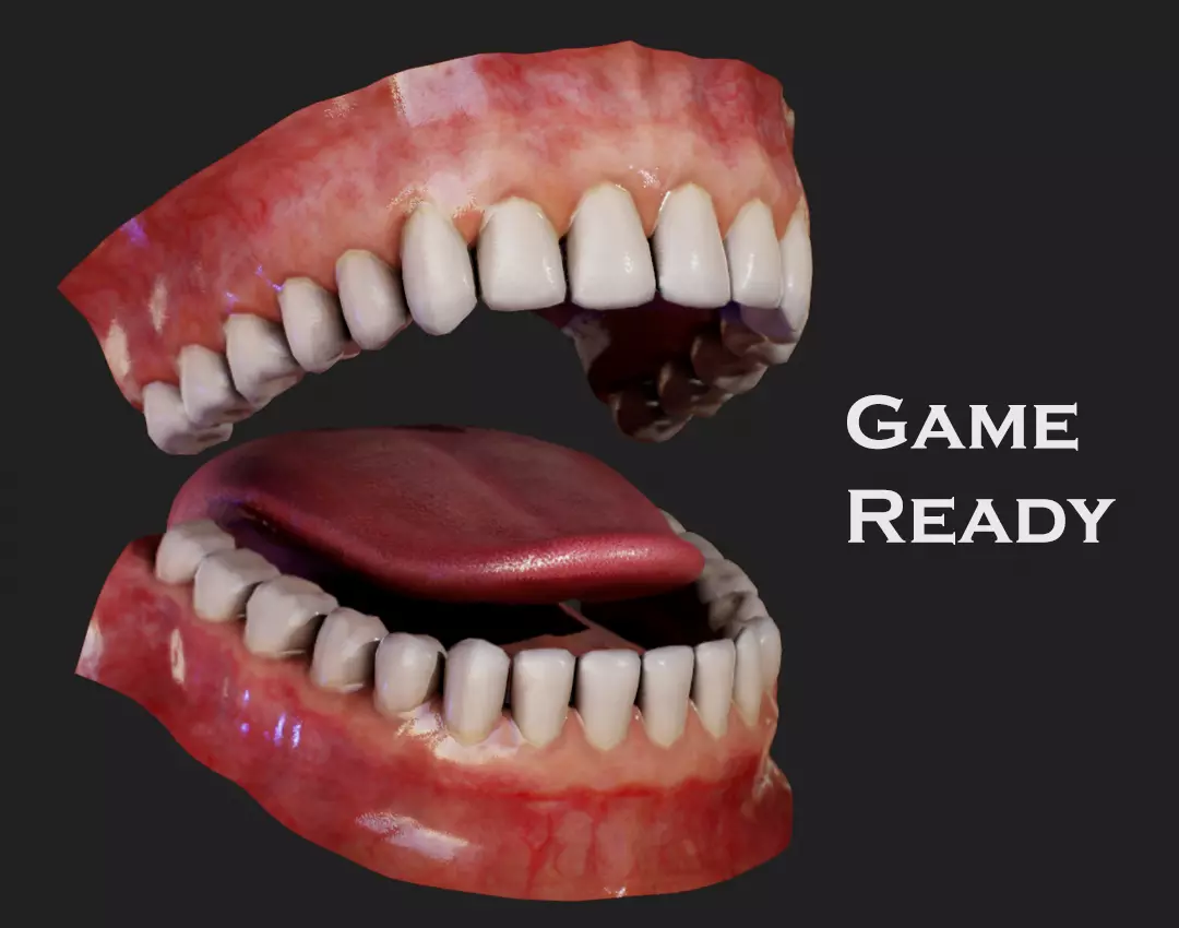 Realistic Human Mouth Low-poly 3D model