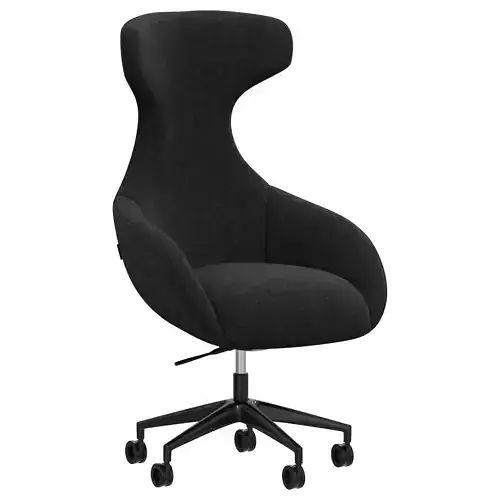 Roche Bobois CEO armchair