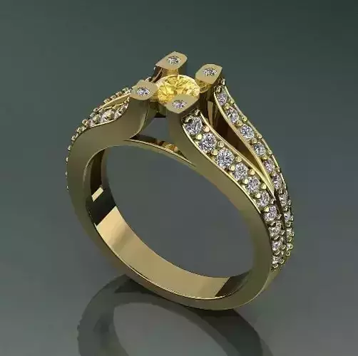 Ring Model 2530