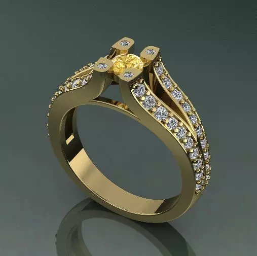 Ring Model 2530 3D print model_0