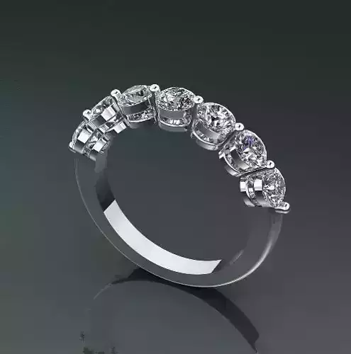Ring Model 2516