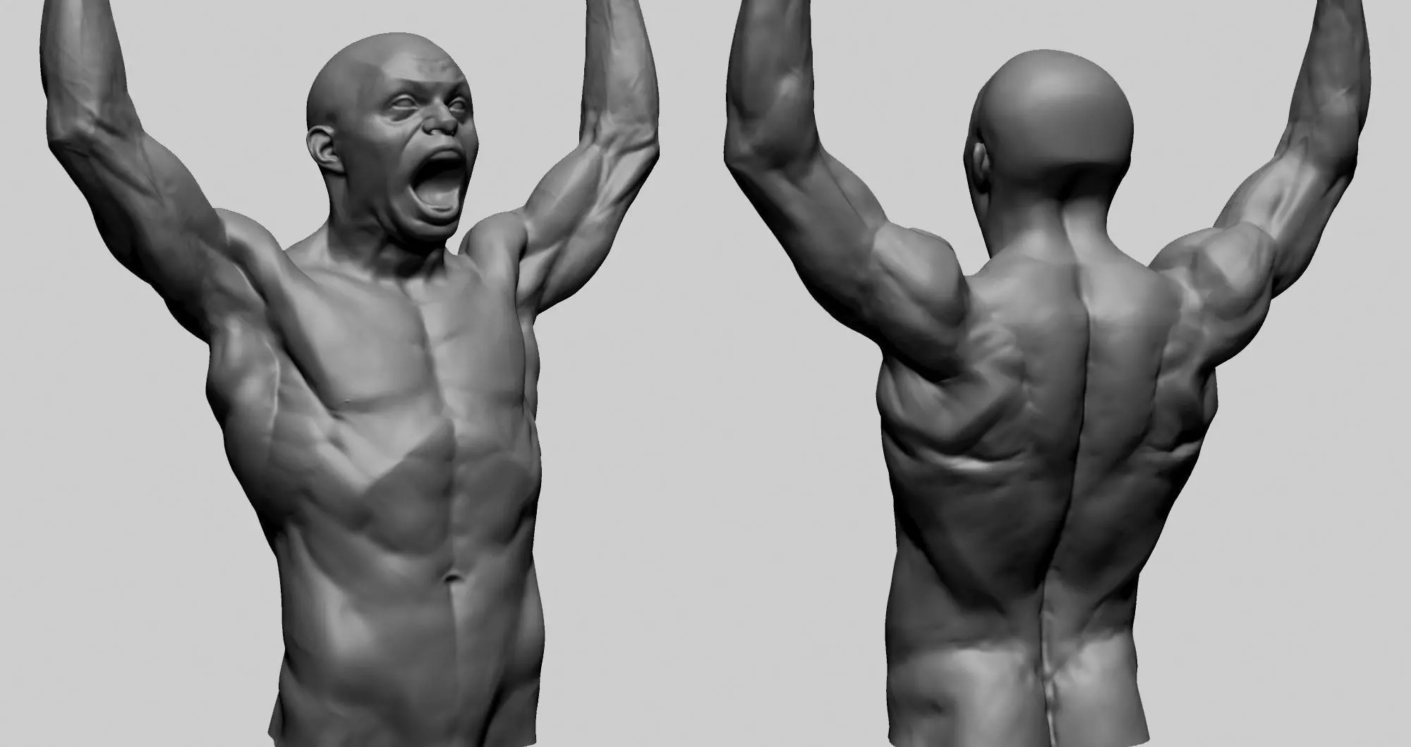 Male Upper Body Printable 3D print model_0