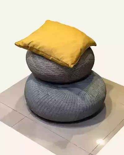 Pillow Cushions
