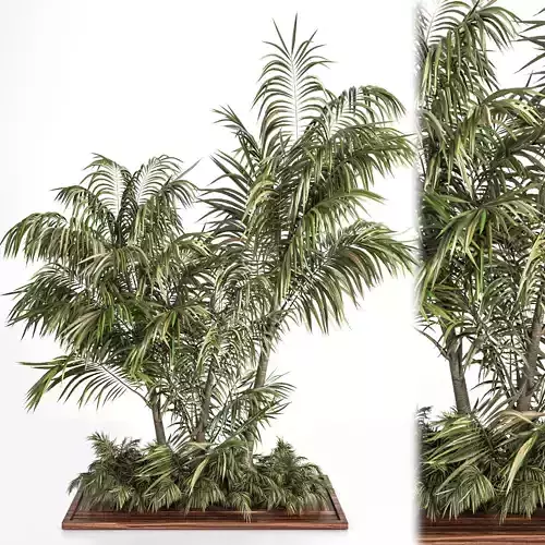 Garden set bush and Tree Set06 3D model