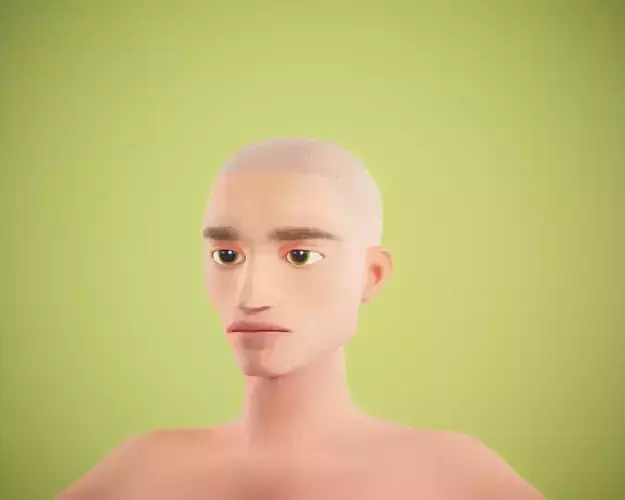 cartoon rigged  boy