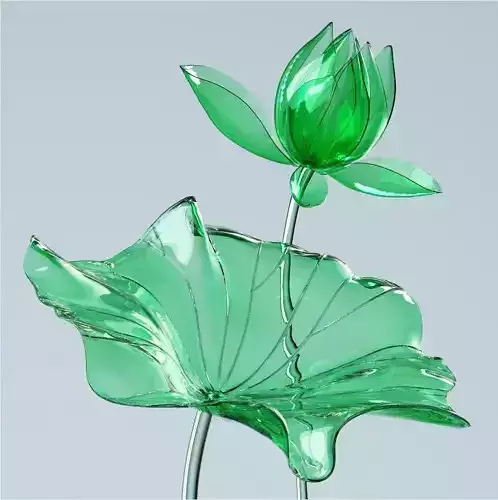 Budding lotus lotus lotus blooming animation