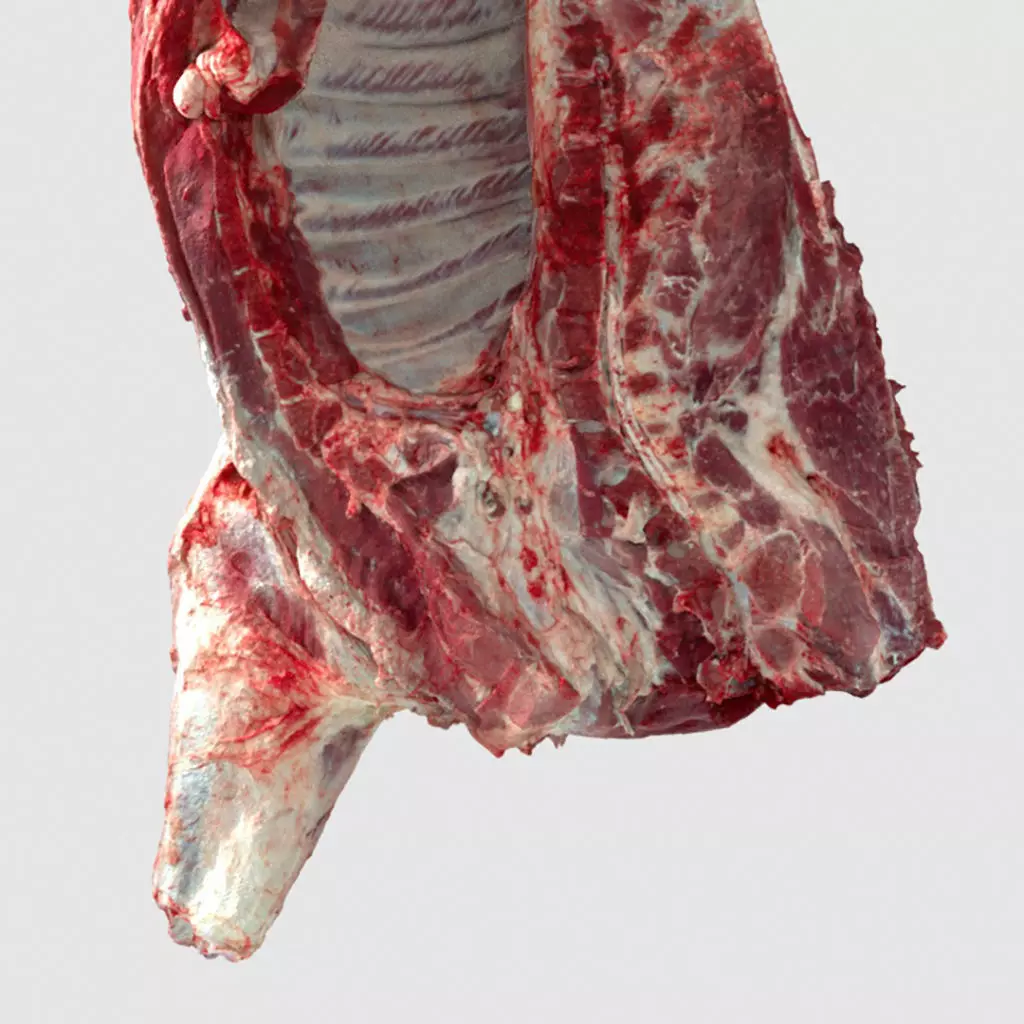 Pork Body Half 2 Low-poly 3D model_0