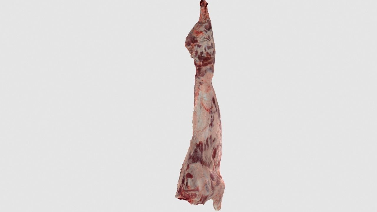 Pork Body Half 2 Low-poly 3D model_7