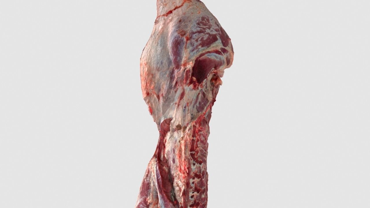 Pork Body Half 2 Low-poly 3D model_10