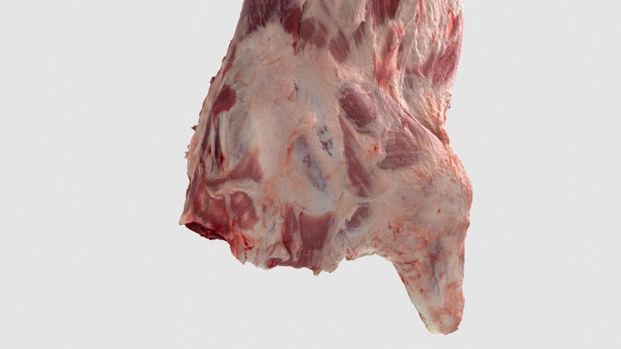 Pork Body Half 2 Low-poly 3D model_4