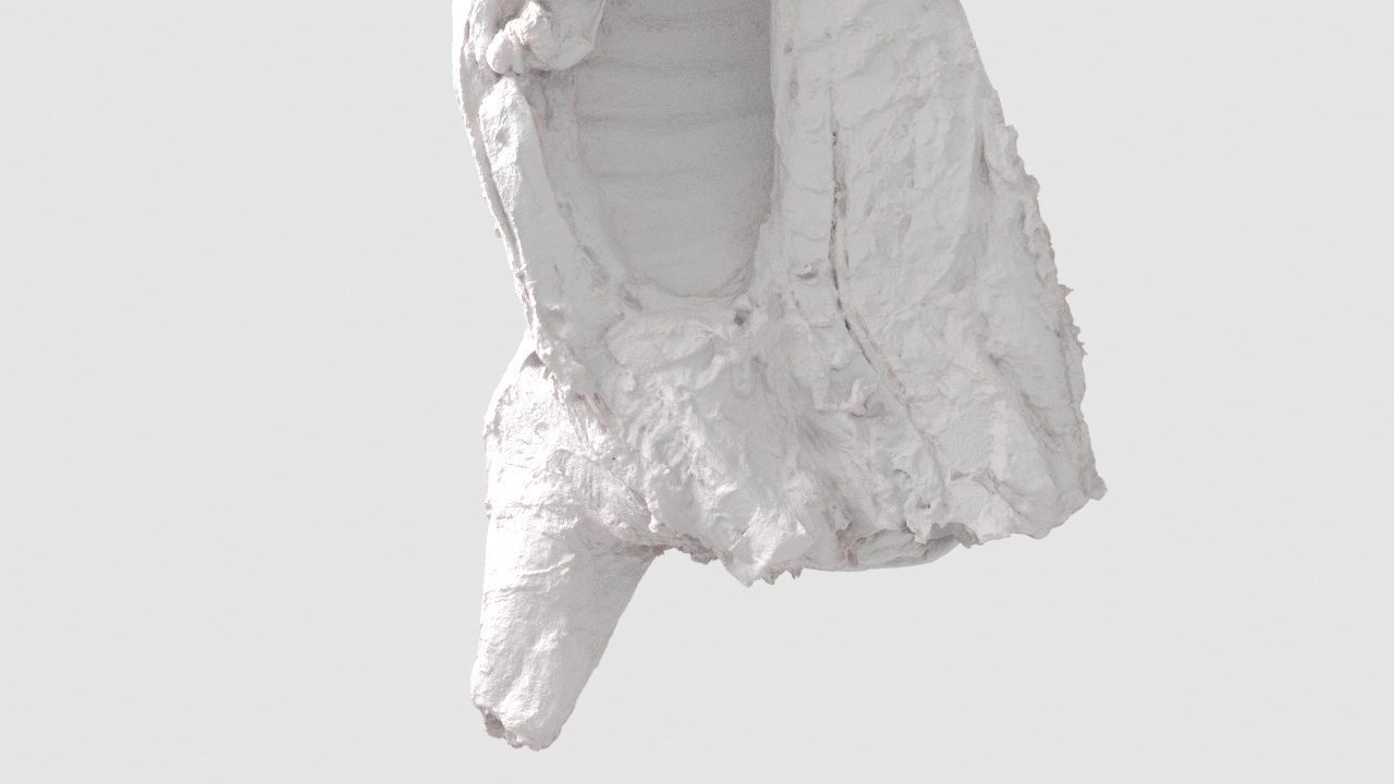 Pork Body Half 2 Low-poly 3D model_2