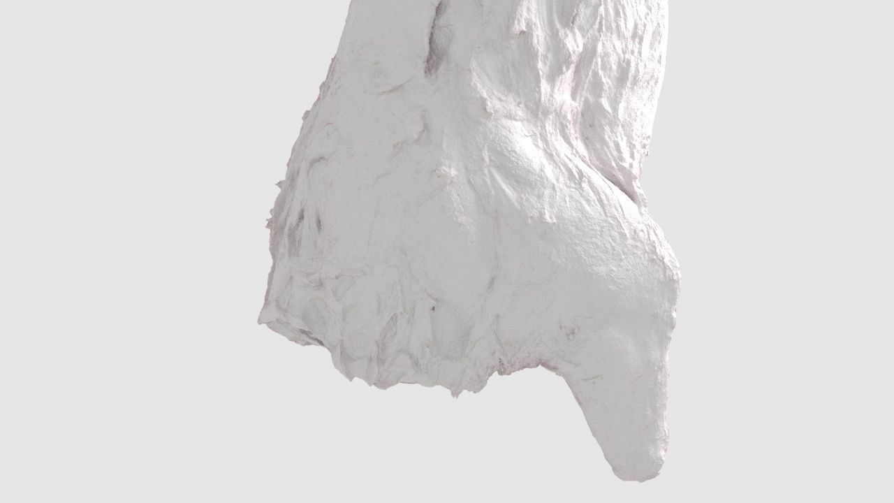 Pork Body Half 2 Low-poly 3D model_5