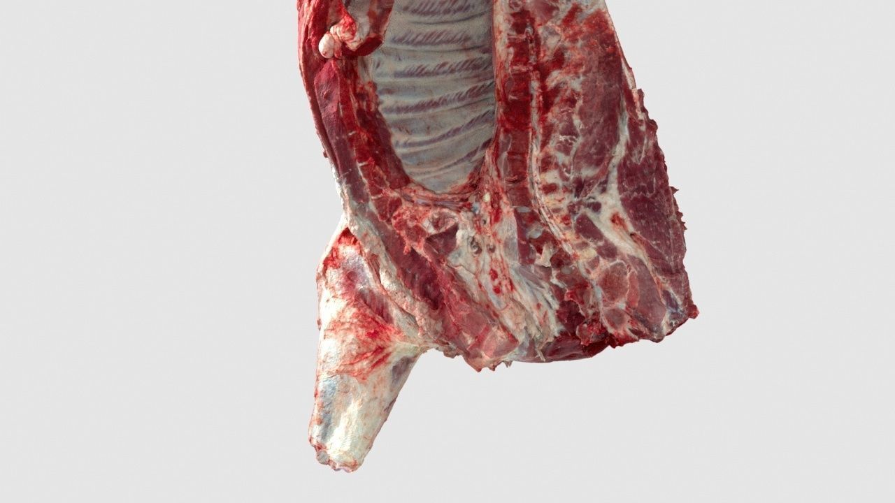 Pork Body Half 2 Low-poly 3D model_1