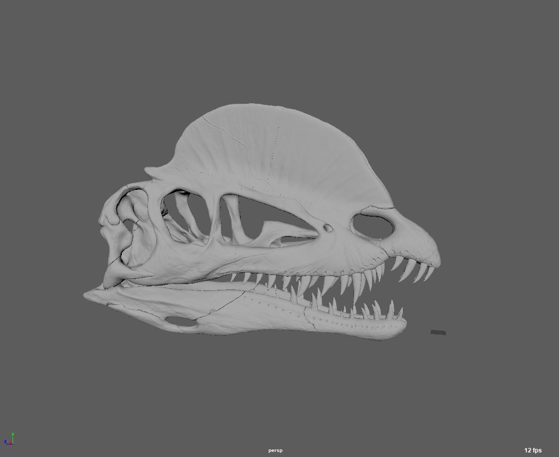 double dragon skull 3D model_4