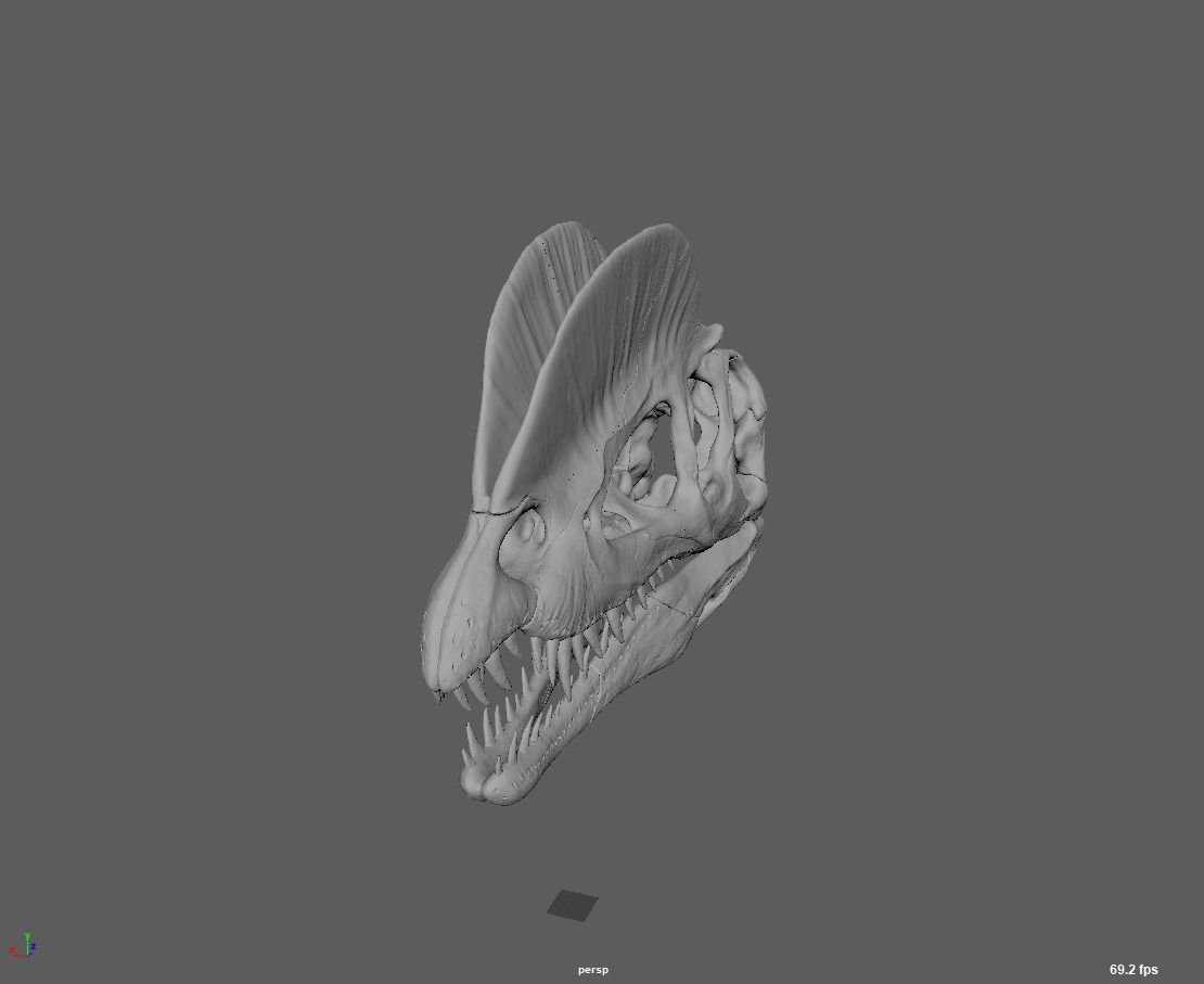 double dragon skull 3D model_3